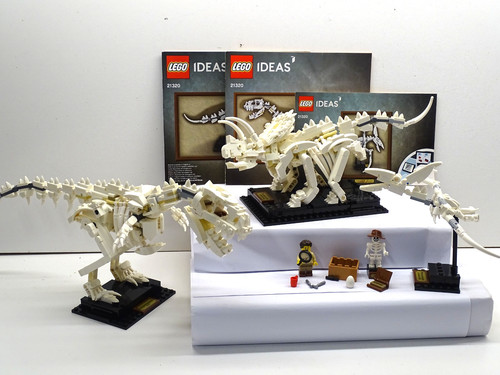 Lego ideas 21320 - fossili, di