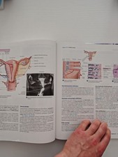 Anatomia umana martini - anatomia,