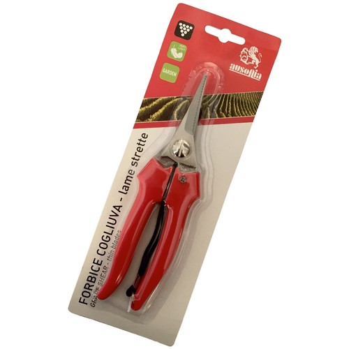 Forbice per vendemmia inox