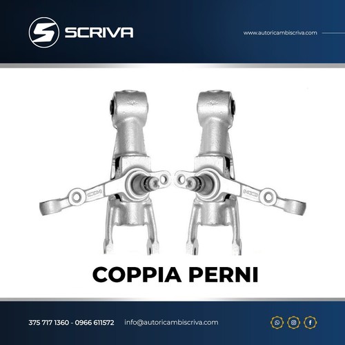 Fiat 500 coppia perni - fiat,