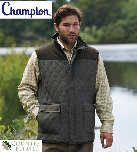 Gilet scaldamuscoli champion - gilet,