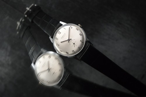 Rare diantus antimagnetic - rare,