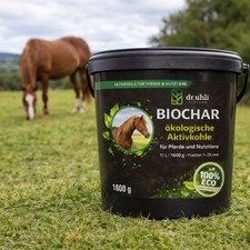 Biochar per animali di grandi