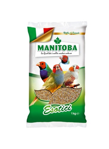 Manitoba miscuglio esotici - manitoba,