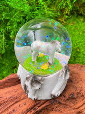 Cavallo Ross Muffa Altezza