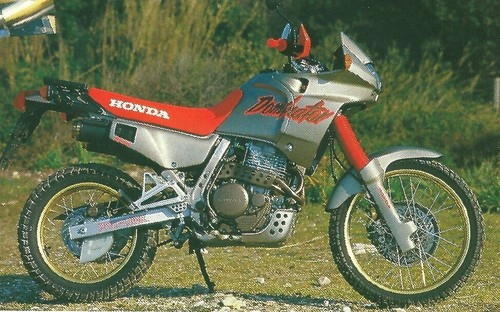 Honda dominator nx650 adesivo - honda,