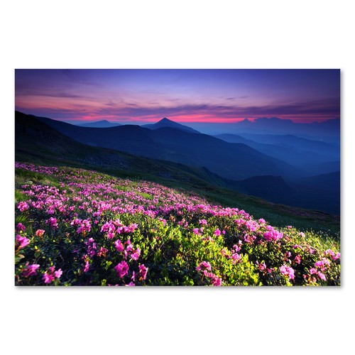 Postereck 1408 poster tela - 1408,