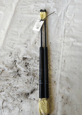 Asta ammortizzante portello