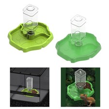 Mangiatoia per rettili