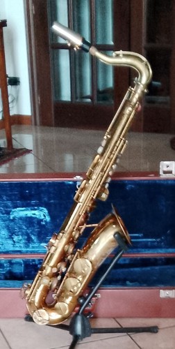 Sax tenore lignatone classic - lignatone,