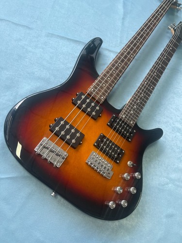 Chitarra elettrica doppio