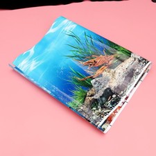  Sfondo Del Serbatoio Pesce