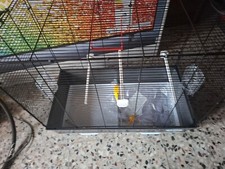 GABBIA PER UCCELLI "REKORD 3", 49X30X48,5 CM - FERPLAST