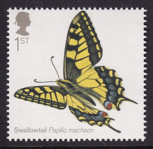 Swallowtail papilio machaon - swallowtail,