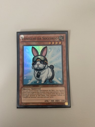 Rescue rabbit coniglio da - rabbit,