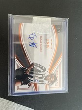 Panini immaculate ink - panini,