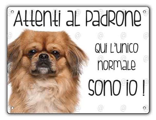 Cartello cane pechinese - cane,