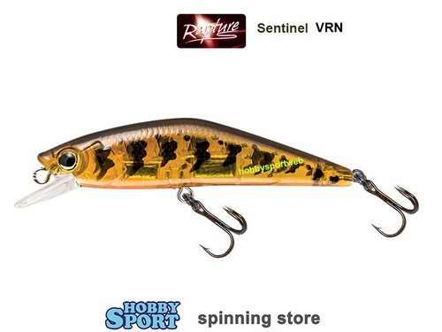 Minnow sentinel rapture - , 70
