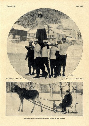 Sport invernali slitta