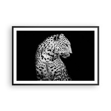 Poster 91x61cm Leopardo
