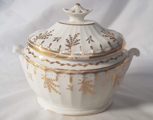 Elegant thomas rose coalport - thomas,
