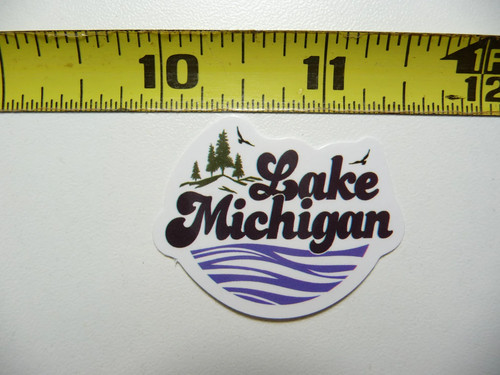 Lago michigan onde uccellini - michigan,
