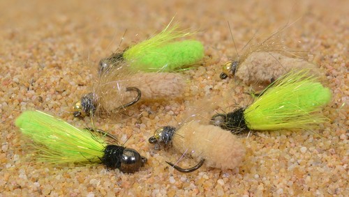 Mosche mosca scopa in - mosche,