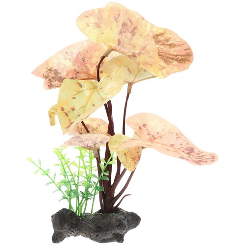 Piante acquario decorazione - piante, d'acquario