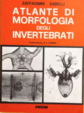 ATLANTE DI MORFOLOGIA DEGLI