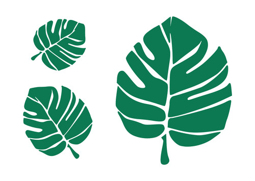 Stencil monstera foglie - stencil,