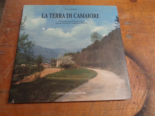 Terra camaiore di - la,