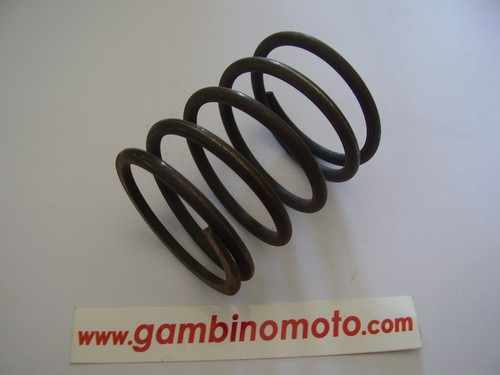 Molla frizione motozappa - motozappa, pasbo