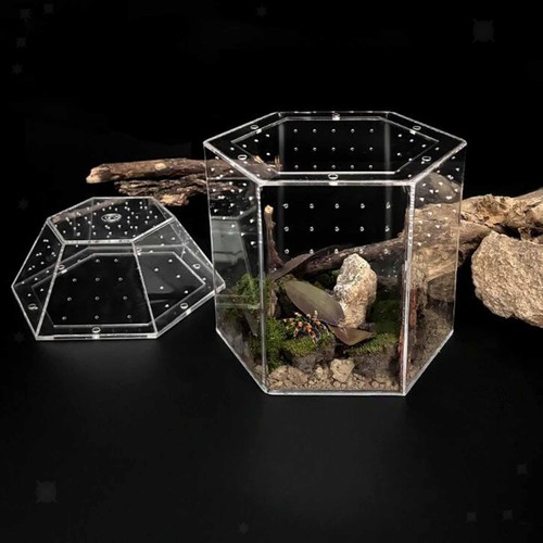 Recinto per rettili terrario - rettili,,