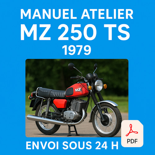 Manuel atelier 250 1979 - 250,