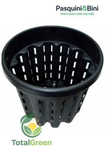 Vaso ercole