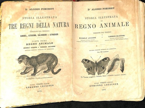 Storia illustrata del regno