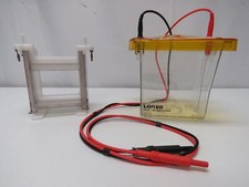 Lonza PAGEr Minigel Camera Elettroforesi con Modulo Blot