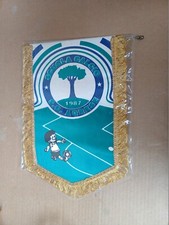 GAGLIARDETTO PENNANT CALCIO AGRESE AGRI NOCERA INFERIORE