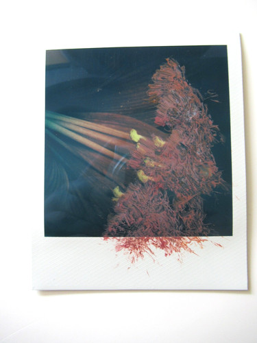 Araki polaroid originale - n.,