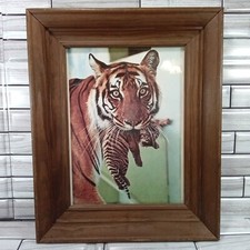 Quadro con cornice Tigre/Tigre