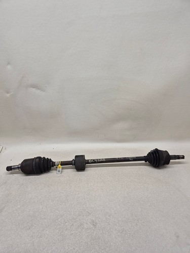 46307558 semialbero ant - semialbero,
