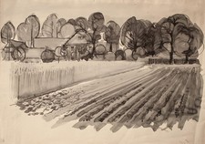 Veduta villaggio campi