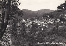 LEMNA:  Panorama    1960