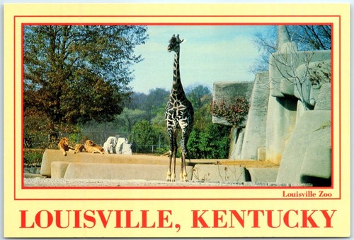 Cartolina zoo di louisville - zoo,