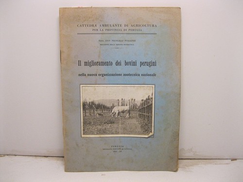 Nicolelli fulgenzi dott - fulgenzi,