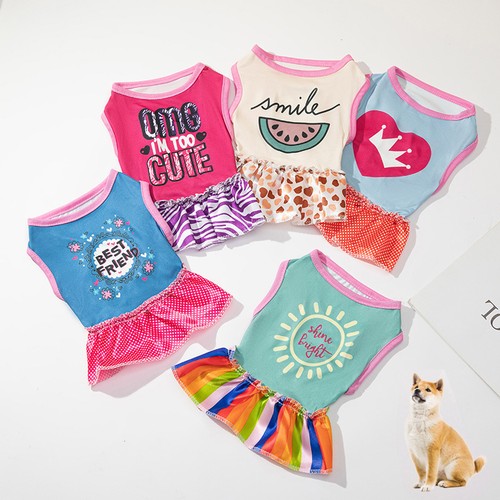 Carino vestito per cani - carino,