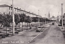 GROSSETO: Viale della Pace