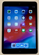 iPad Mini 2 / 16 GB / Wi-Fi / Ottime Condizioni / A1489