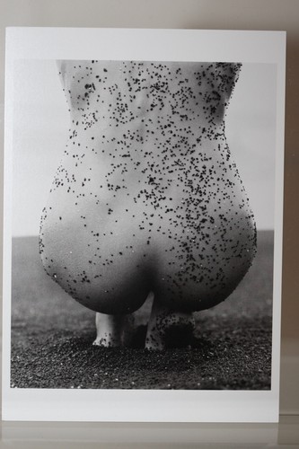 Herb ritts female nude with - herb,