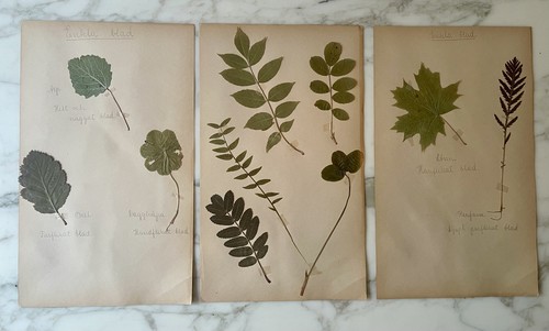 Set rare vintage swedish - set,